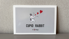  Cupid Rabbit by JT