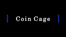  Coin Cage (Silver) by Paul Carnazzo