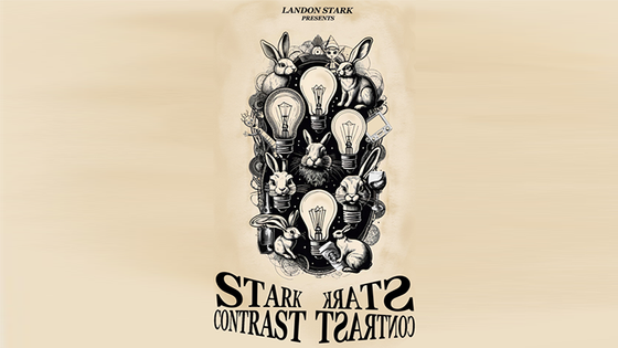 The Stark Contrast by Landon Stark eBook DOWNLOAD