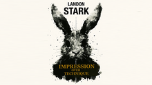  Impression Over Technique by Landon Stark eBook DOWNLOAD