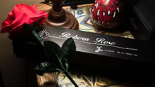  Reborn Rose by JL Magic