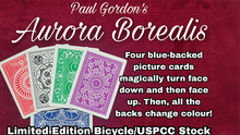  Aurora Borealis by Paul Gordon