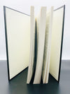 The Trap Door Volume One: 1984-1988 by Steve Beam - Copyright 2011