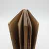 The Old and the New Magic by Henry Ridgely Evans - Copyright 1906