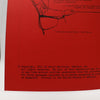 Daryl Martinez Magic Lecture Notes - Copyright 1973