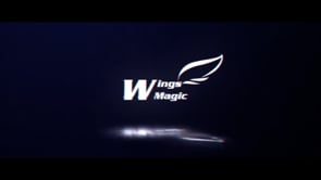 WingsMagic Present Tempo Elf by Mental Tom