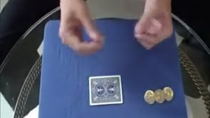 Johnny Wong's Deluxe Edition Super Chameleon Power (Eisenhower)(color may vary)