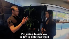 Echo Book Test by Vincent Hedan (Tarot de Marseille)