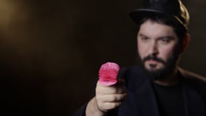 SPRING FLOWERS (2 PK PAPER) by Murphy's Magic