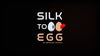 Silk to Egg by Michael Ammar and Bazar de Magia