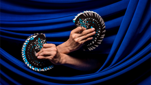  Cardistry Fanning Blue by Bocopo