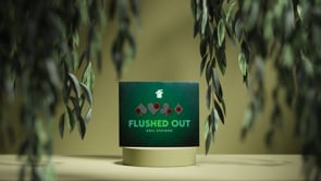 FLUSHED OUT by Eric Stevens