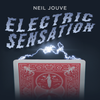 Electric Sensation by Neil Jouve (Red Bicycle Back)
