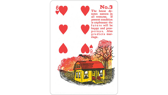 Gypsy Witch Fortune Telling Playing Cards