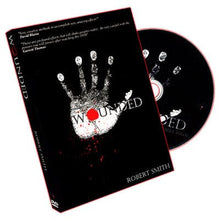  Wounded by Robert Smith DVD (Open Box)