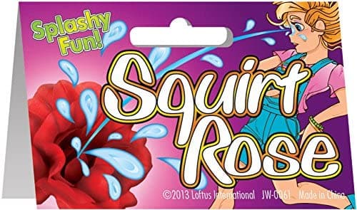 Squirt Rose by Loftus