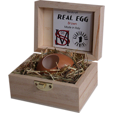  Real Egg (Brown) by Gianfranco Ermini & Stratomagic - Trick