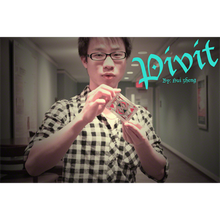  Pivit by Hui Zheng Video DOWNLOAD