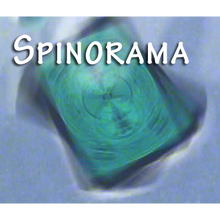  Spinorama by William Lee video DOWNLOAD