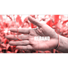 Reband by Arnel Renegado - Video DOWNLOAD