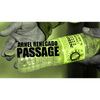 Passage by Arnel Renegado - Video DOWNLOAD