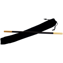  Magnetic Wand (Gold)  - Trick
