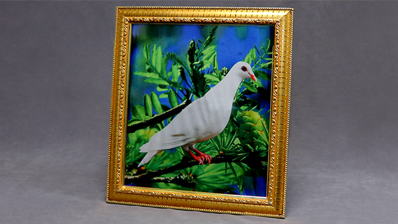 Dove Frame (Photo) by Mr. Magic - Trick