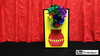 3D Flower Bouquet Blooming Vase by Mr. Magic - Trick