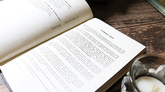 Routined Manipulation Finale (Limited/Out of Print) by Lewis Ganson - Book