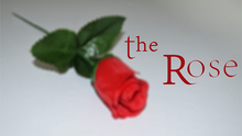  The Rose by Sandro Loporcaro (Amazo) video DOWNLOAD