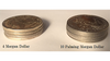 Palming Morgan Dollar Replica (10 Coins) by Shawn Magic