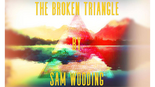 The Broken Triangle by Sam Wooding eBook DOWNLOAD