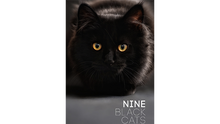  Nine Black Cats by Neema Atri eBook DOWNLOAD