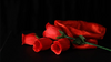 The Rose 2.0 (Red) by Bond Lee & Wenzi Magic - Trick