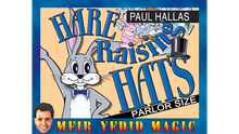  Hare Raising Hats (Parlor Size) by Paul Hallas - Trick
