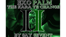  EXOPALM THE KARATE CHANGE by SaysevenT video DOWNLOAD