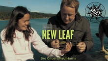  The Vault - New Leaf by Bro Gilbert and Paul Harris video DOWNLOAD