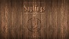 Skymember Presents Saplings by Yu Huihang - DVD