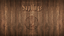  Skymember Presents Saplings by Yu Huihang - DVD