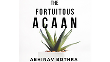  The Fortuitous ACAAN by Abhinav Bothra Mixed Media DOWNLOAD