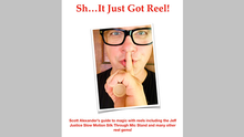  It Just Got Reel by Scott Alexander - Book