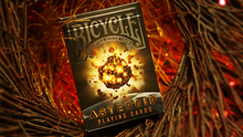  Bicycle Asteroid Playing Cards by US Playing Card