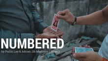  Numbered by Parlin Lay video DOWNLOAD