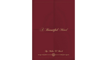  A Beautiful Mind by Molim El Barch eBook DOWNLOAD