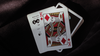 Safari Casino Black Playing Cards by Gemini