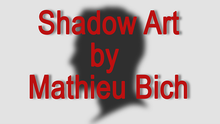  Shadow Art (Bat Man) by Mathieu Bich - Trick