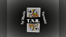  T.N.R. by Mario Tarasini video DOWNLOAD