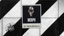  The Vault - MORPH by Nacho Mancilla Mixed Media DOWNLOAD