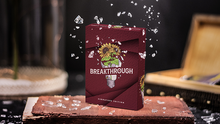  Breakthrough Signature Edition Playing Cards by Emily Sleights