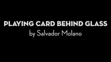  Playing Card Behind Glass by Salvador Molano video DOWNLOAD